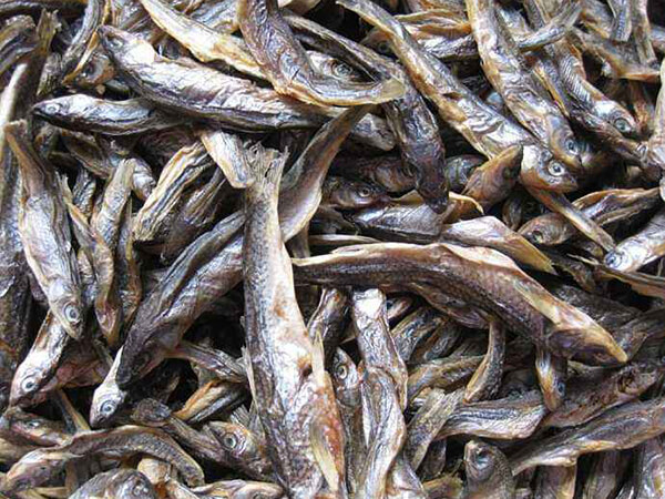 小魚(yú)干配送